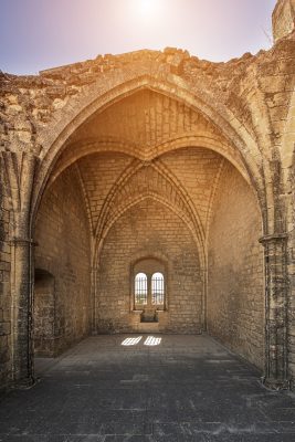 Gothic Remnant in Provence