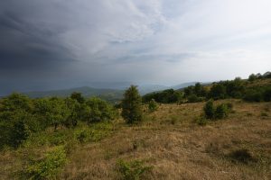 Ticho před bouří