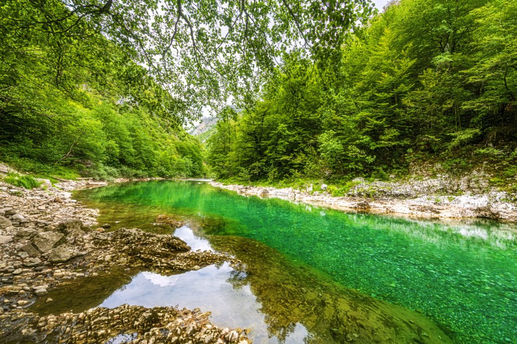 Smaragdová náruč lesa III.