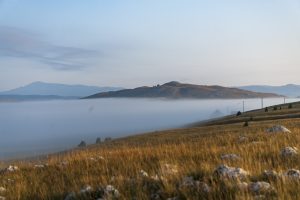 Ostrov v mlze
