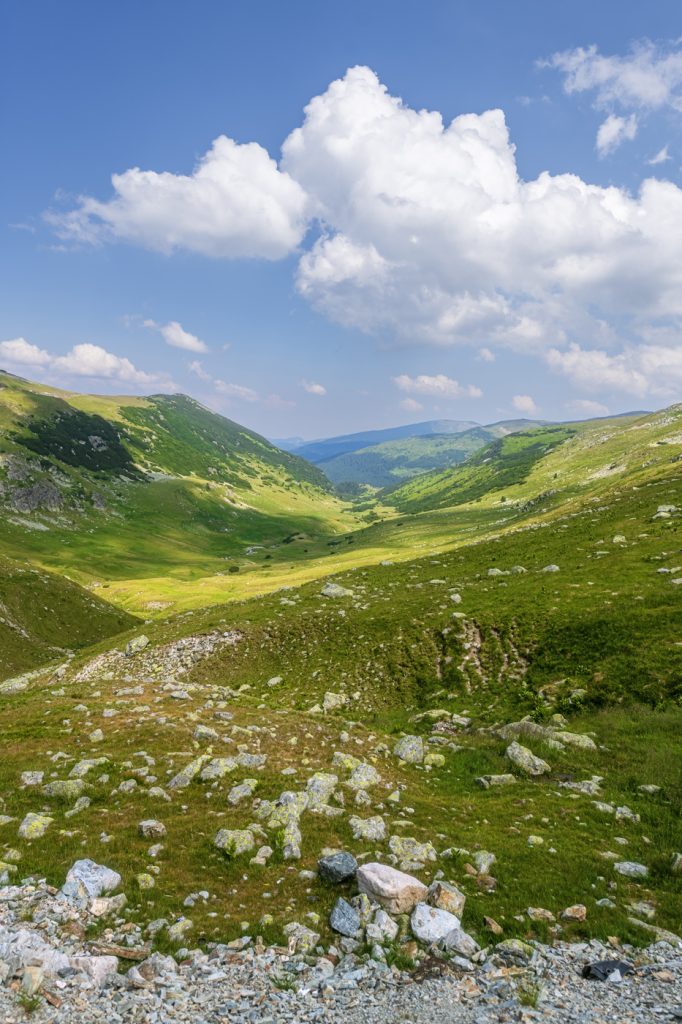 Zelené srdce Karpat